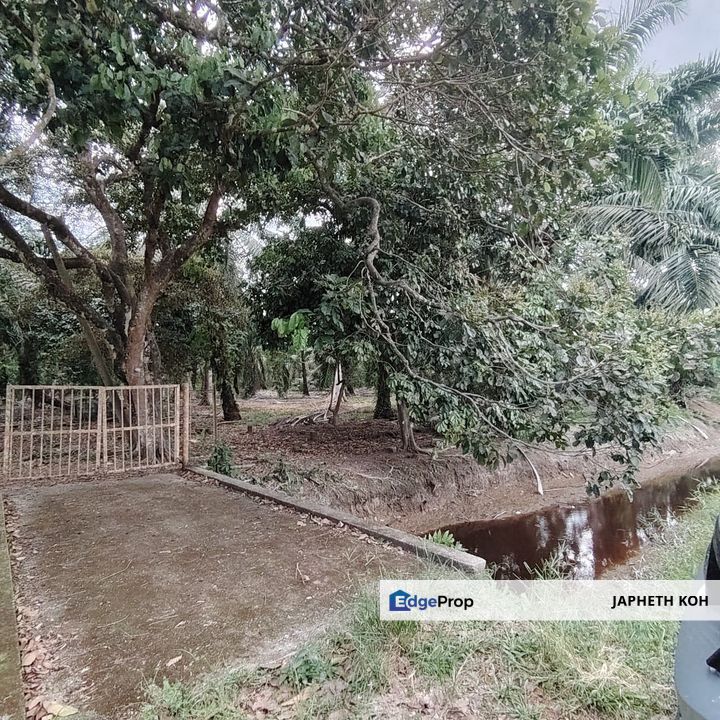 Parit Sulaiman Agricultural Land For Sale, Johor, Pontian