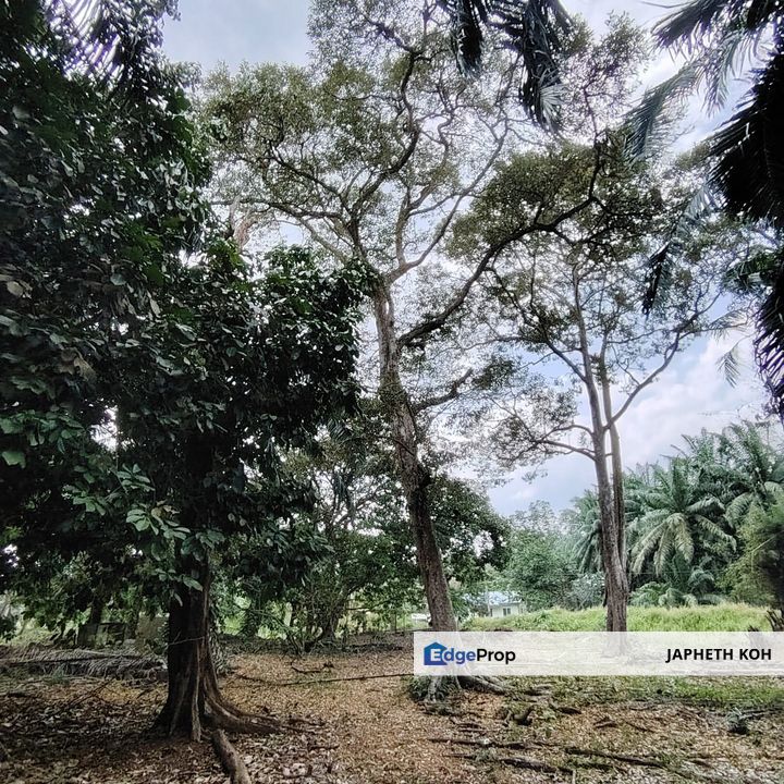 Parit Sulaiman Agricultural Land For Sale, Johor, Pontian