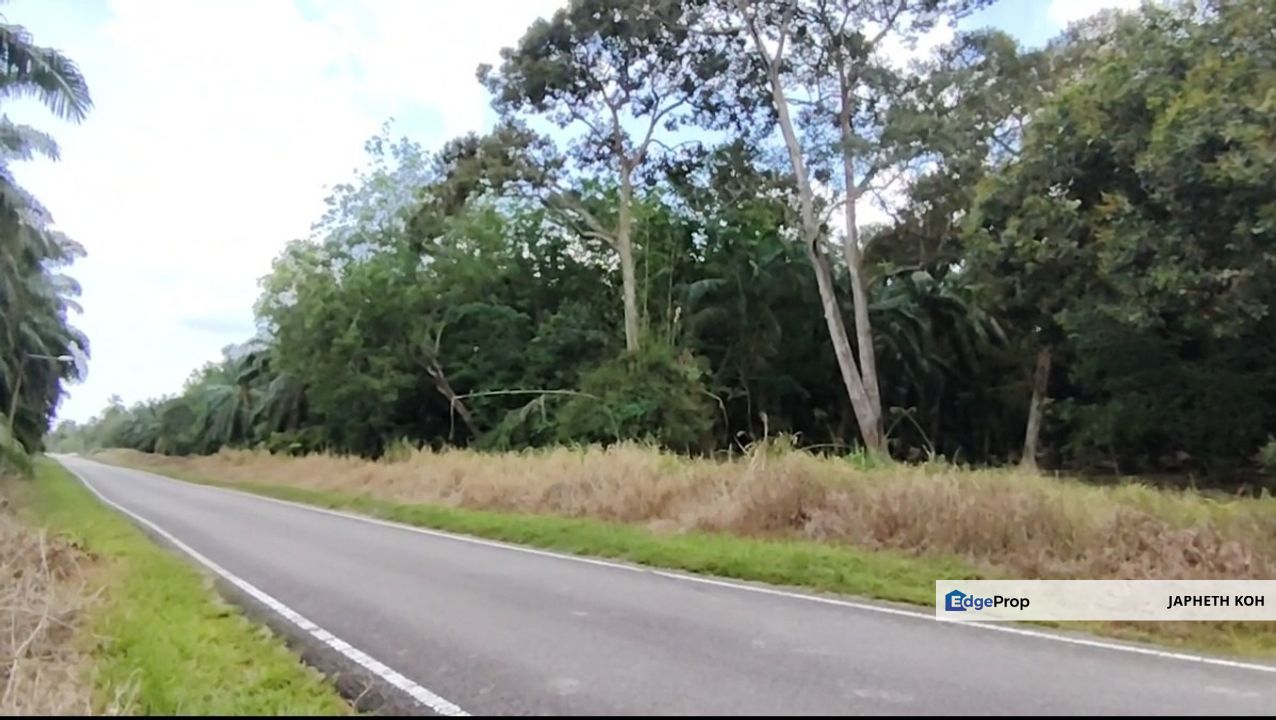 Parit Sulaiman Agricultural Land For Sale, Johor, Pontian