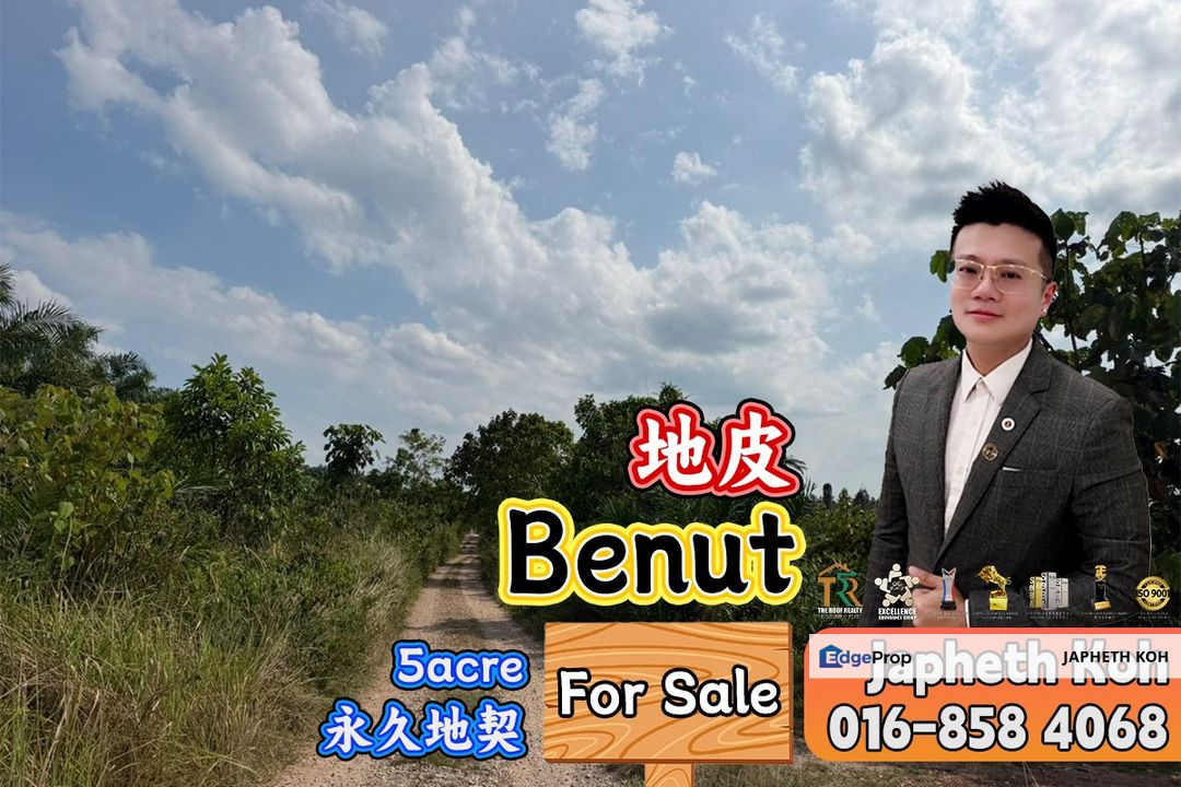 Benut Agricultural Land For Sale, Johor, Pontian