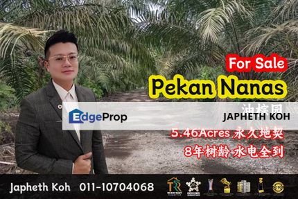 Pekan Nanas - 5.46 Acres Agricultural Land For Sale, Johor, Pontian