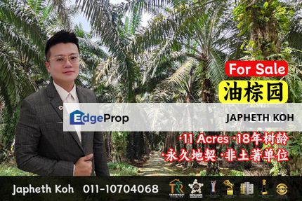 Senai - 11 Acres Oil Palm Land @ Jalan Tun Sri Lanang For Sale, Johor, Kulai