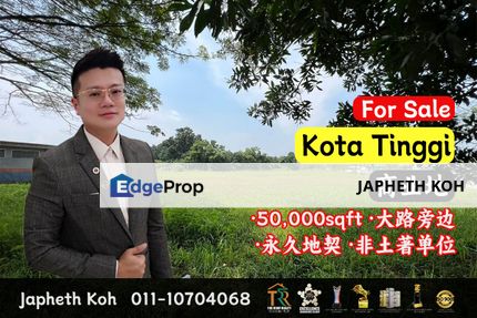 Kota Tinggi - 50,000sqft Commercial Land For Sale, Johor, Kota Tinggi