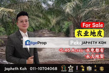 Pekan Nanas - 5.46 Acres Agricultural Land For Sale, Johor, Pontian