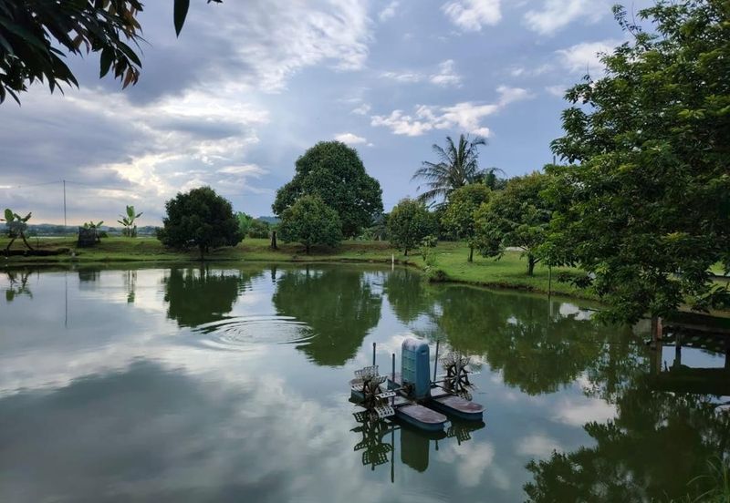 Bandar Country Homes