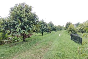 Bandar Country Homes