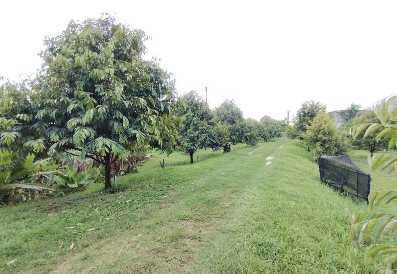 Bandar Country Homes