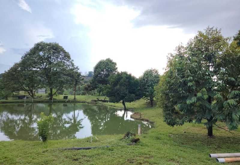 Bandar Country Homes