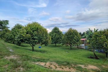 Bandar Country Homes