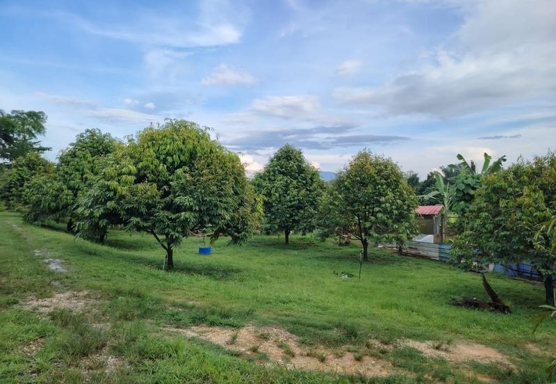 Bandar Country Homes