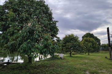 Bandar Country Homes