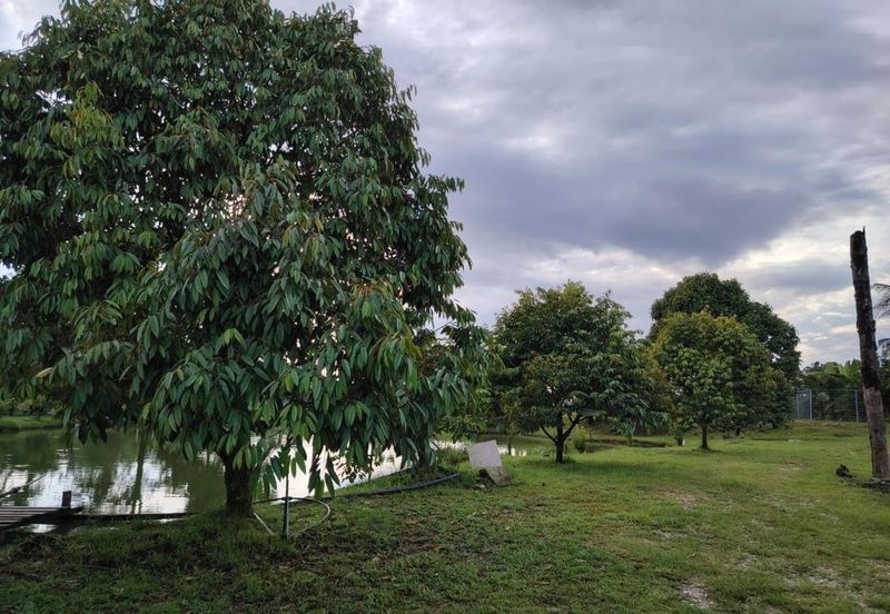 Bandar Country Homes