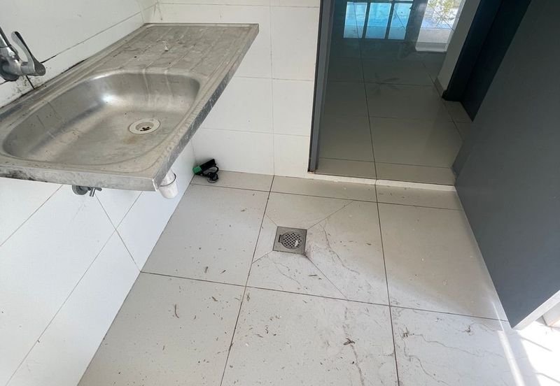 Casa Wood, CyberSouth