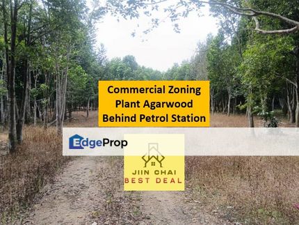 Ulu Tiram Commercial Zoning Land With Agarwood Planting Behind Petrol Station Taman Muhibbah , Johor, Johor Bahru