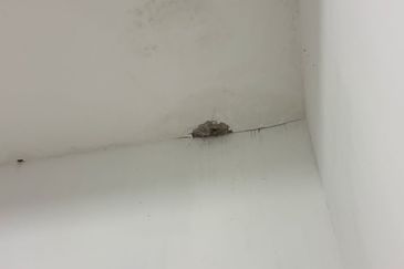 Taman Scientex Senai