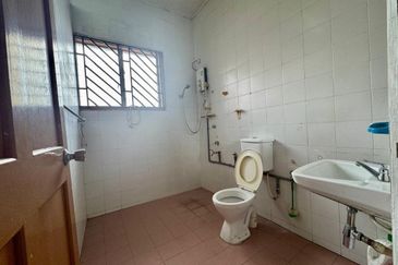 Stulang Laut / Darat