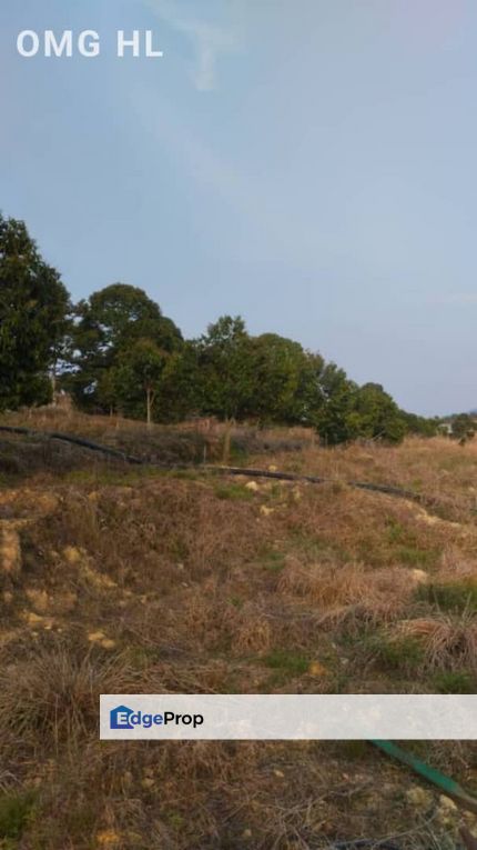Simpang Pertang Jelebu Agriculture Land For Sale, Negeri Sembilan, Jelebu