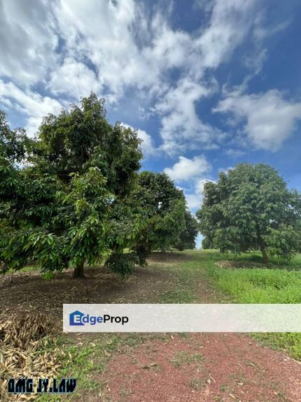 Jementah Johor Agriculture Land For Sale, Johor, Jementah