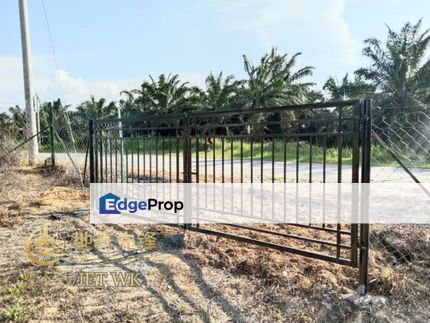 Negeri Sembilan Durian Farm Agriculture Land For Sale, Negeri Sembilan, Jelebu