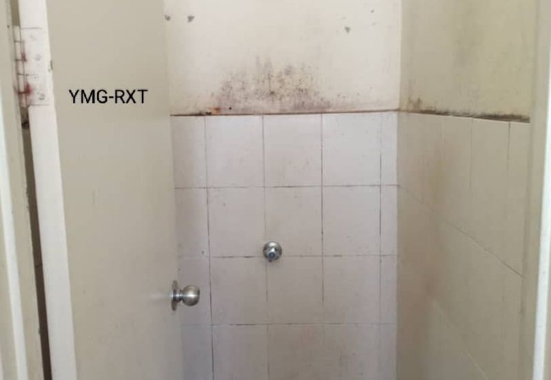 Pangsapuri Arista @ Bandar Parklands