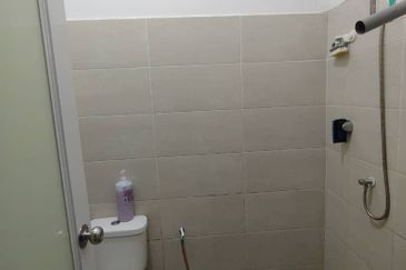 Taman Desa Ara (Ara Kuda)