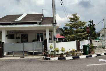 Taman Desa Ara (Ara Kuda)