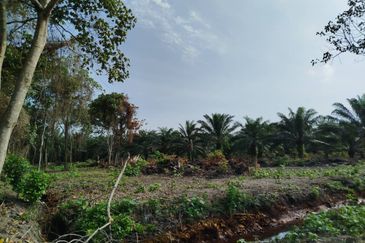 Tanjong Sepat Industrial Land @ Kampung Ulu Tris
