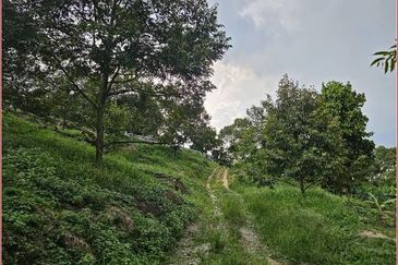 Kampung Sungai Makau