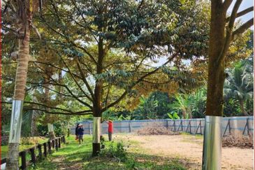 Kampung Sungai Makau