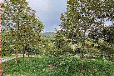 Kampung Sungai Makau