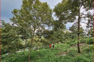 Kampung Sungai Makau