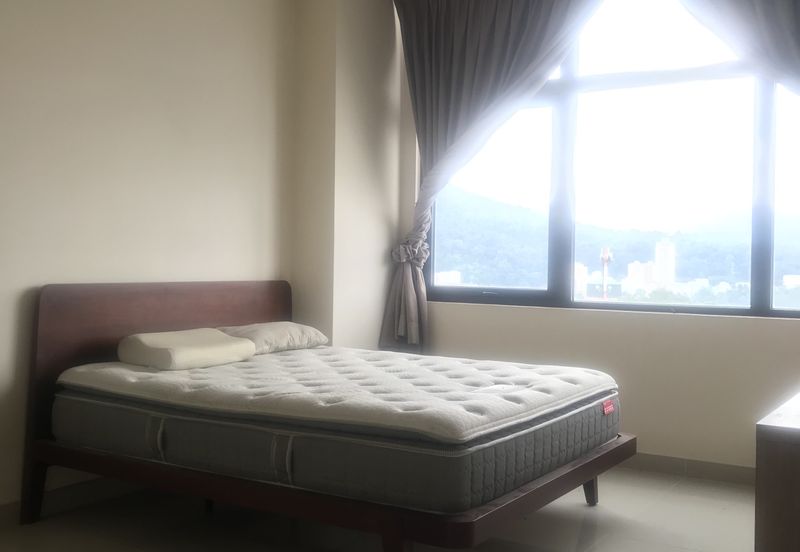 E Suite-Designer Suites