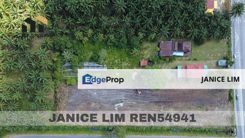 Jalan Lunas Agriculture Land Beside Road For Sale, Kedah, Kulim