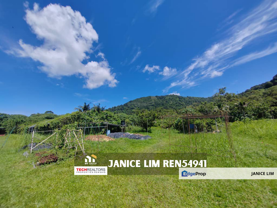 Balik Pulau Freehold Flat Land For Sale, Penang, Balik Pulau