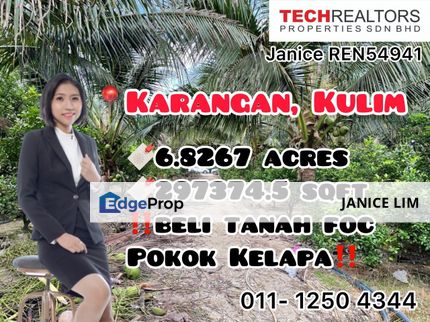 Super Worth Karangan Kulim Agriculture Land with Ready Coconut Plant For Sale, Kedah, Kulim