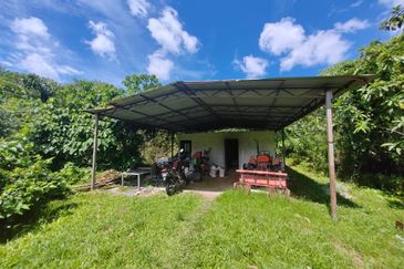 Balik Pulau Freehold Flat Land For Sale