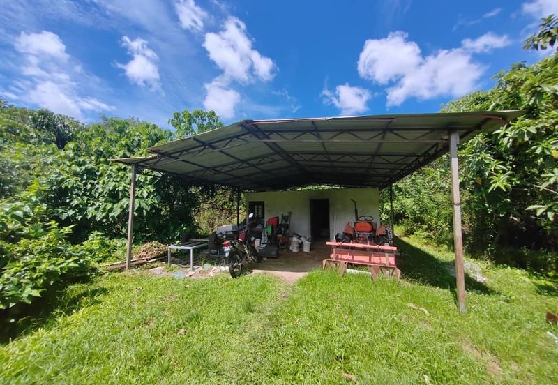 Balik Pulau Freehold Flat Land For Sale