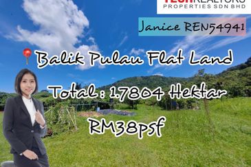 Balik Pulau Freehold Flat Land For Sale