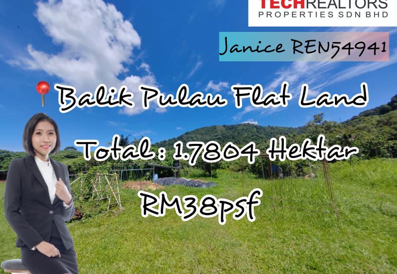 Balik Pulau Freehold Flat Land For Sale