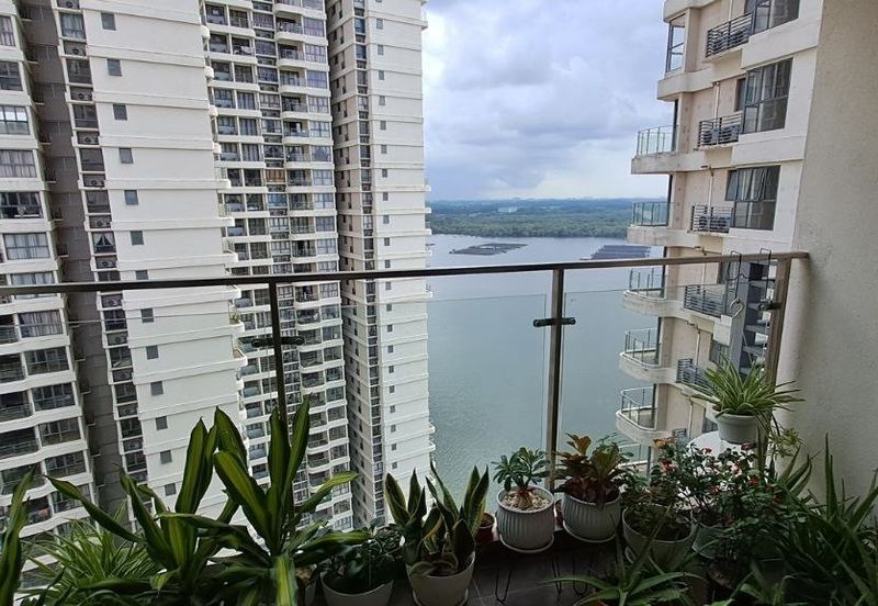 Bay Laurel @ Country Garden Danga Bay