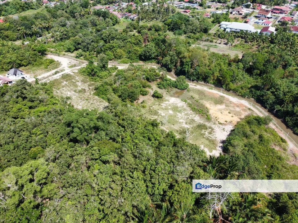 Durian Farm Dusun Durian Melaka Johor, Melaka, Jasin