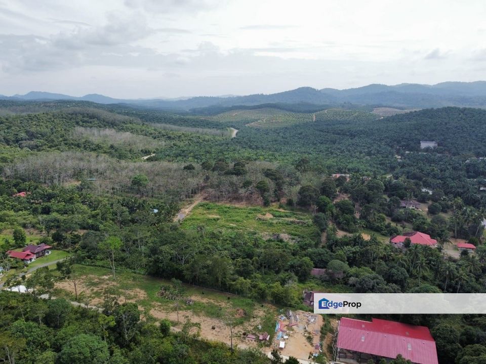Durian Farm Dusun Durian Melaka Johor, Melaka, Jasin