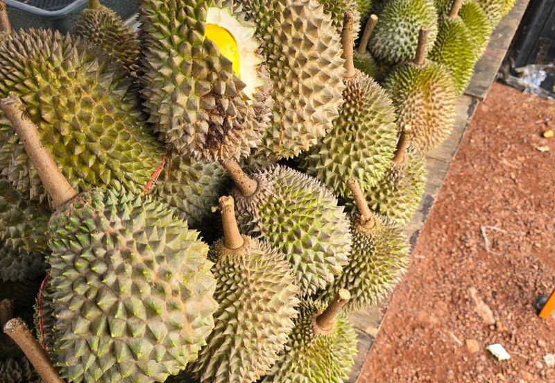 Jalan Persiaran Jasin Bestari