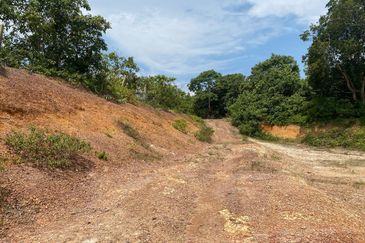 Tanah Pertanian Kelemak. Alor Gajah , Melaka