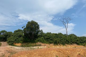 Tanah Pertanian Kelemak. Alor Gajah , Melaka