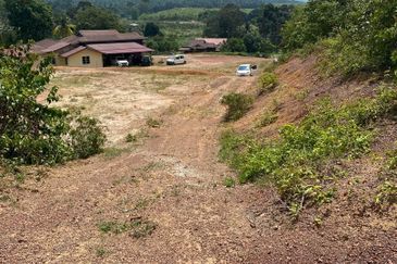 Tanah Pertanian Kelemak. Alor Gajah , Melaka
