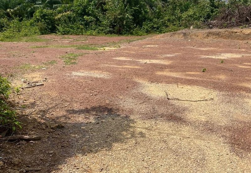 Tanah Pertanian Kelemak. Alor Gajah , Melaka