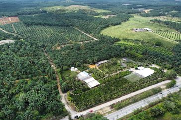 Kampung Sungai Penchala