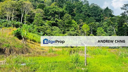 Potential Resort Land for Sale @ Bukit Tinggi, Near to Camperz Hideout, Pahang, Bentong