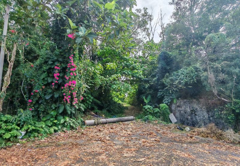 Seremban Land for Sale, Large tophill, Freehold